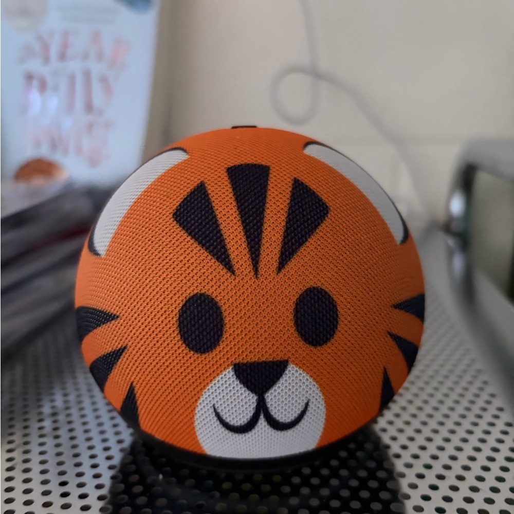Amazon Echo Dot Kids